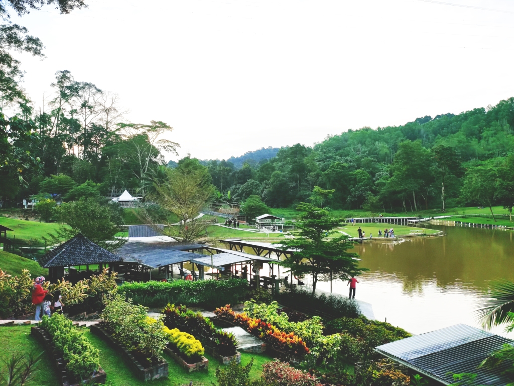 Bukit jelutong park eco Bukit Jelutong